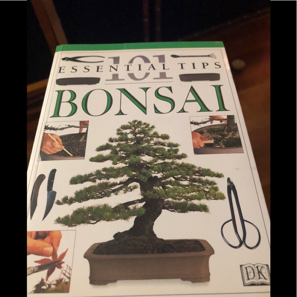 🪴 101 Essential Tips: Bonsai